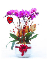 Vivi by Flossom Valentines Arrangement with Vase - Large | The Nest Attachment Parenting Hub